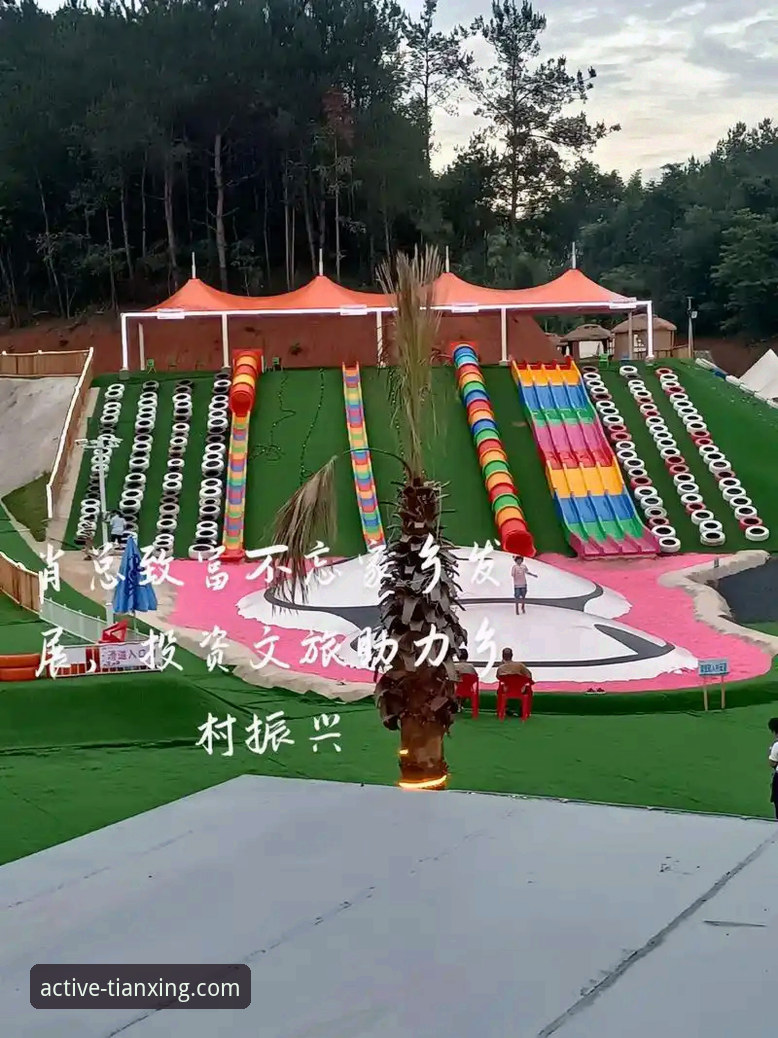 天行体育在线观看vs传统电视直播：哪个更适合运动迷？