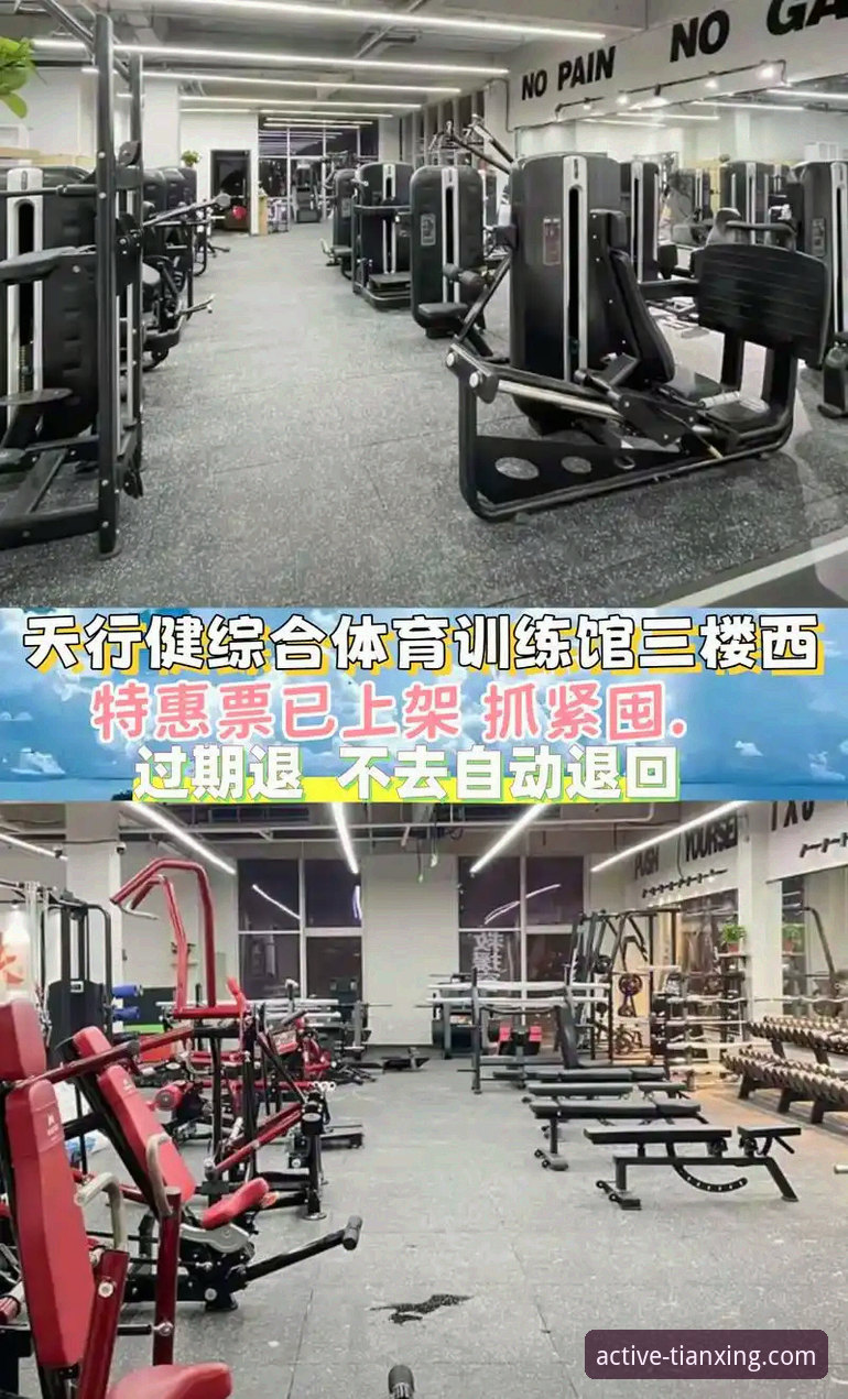 活力激情运动平台 天行体育平台最新动态:活力激情运动平台如何重塑你的运动体验?