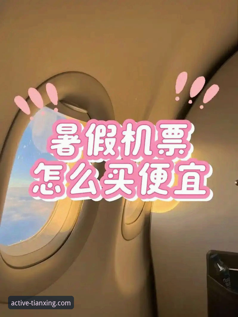 天行体育平台使用指南：从下载注册到观看直播的完整攻略